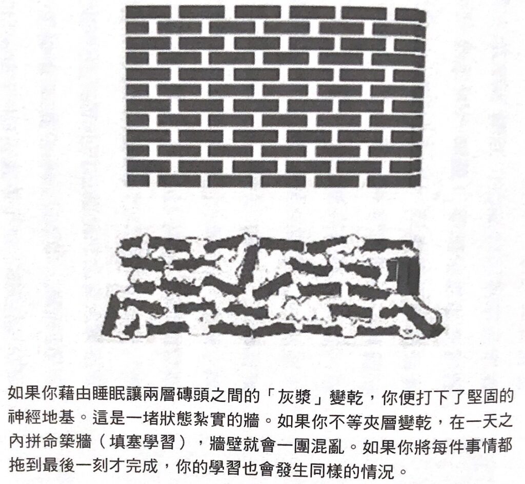 《學習如何學習》的作者說明分散學習的重要性,並以築牆來比喻。