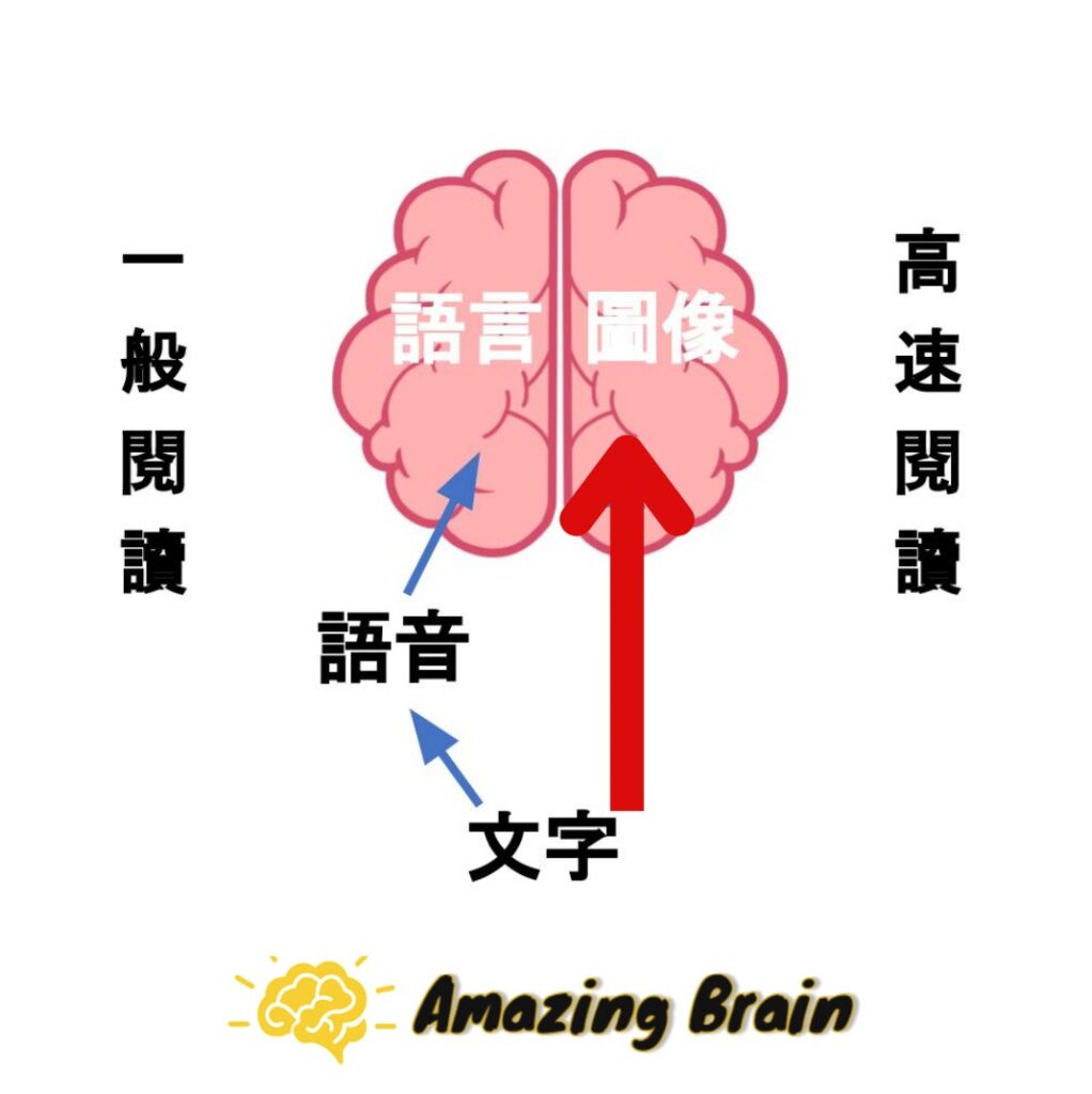 快速閱讀的原理