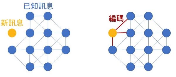 編碼是什麼